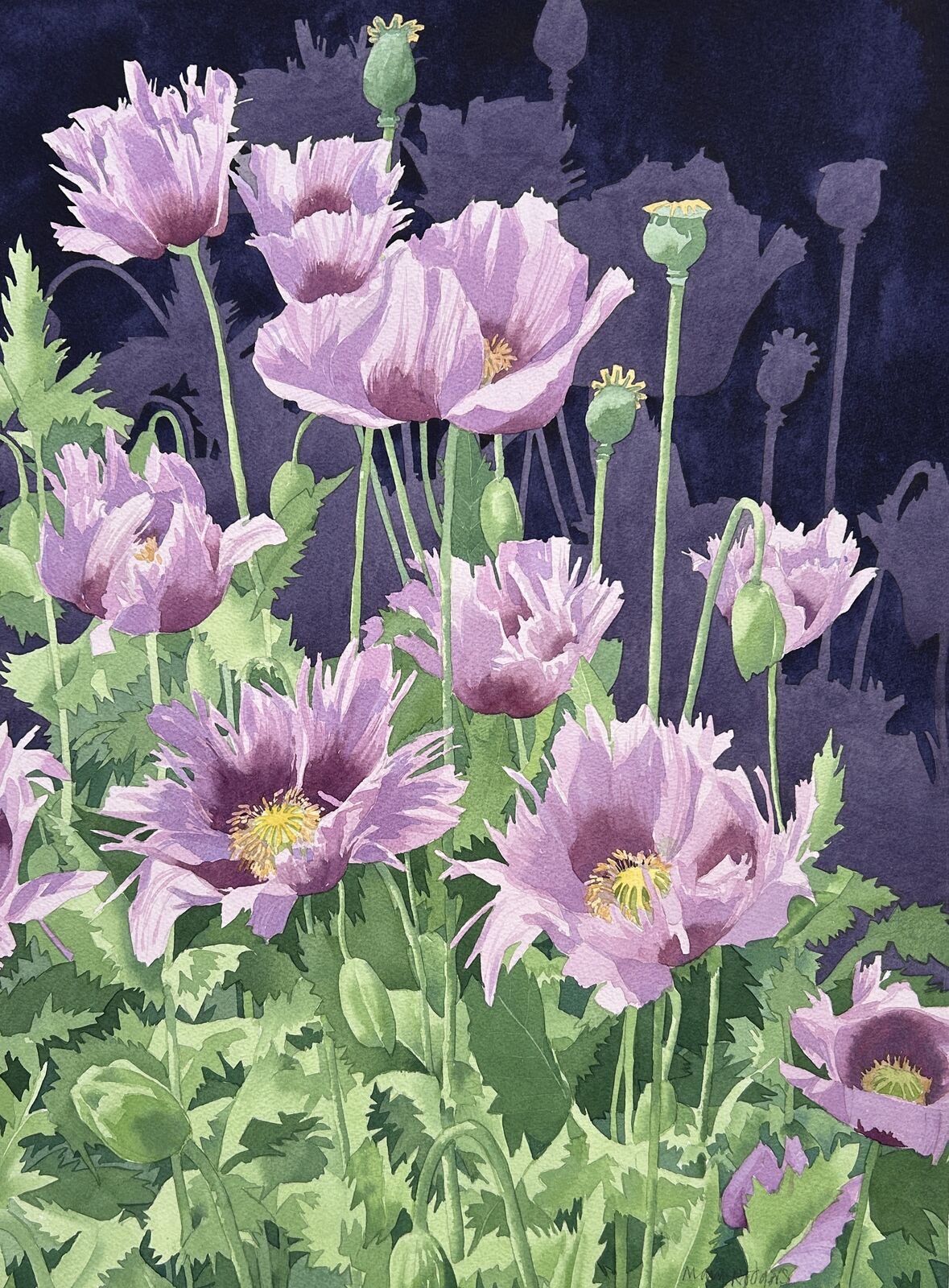Lilac Poppy