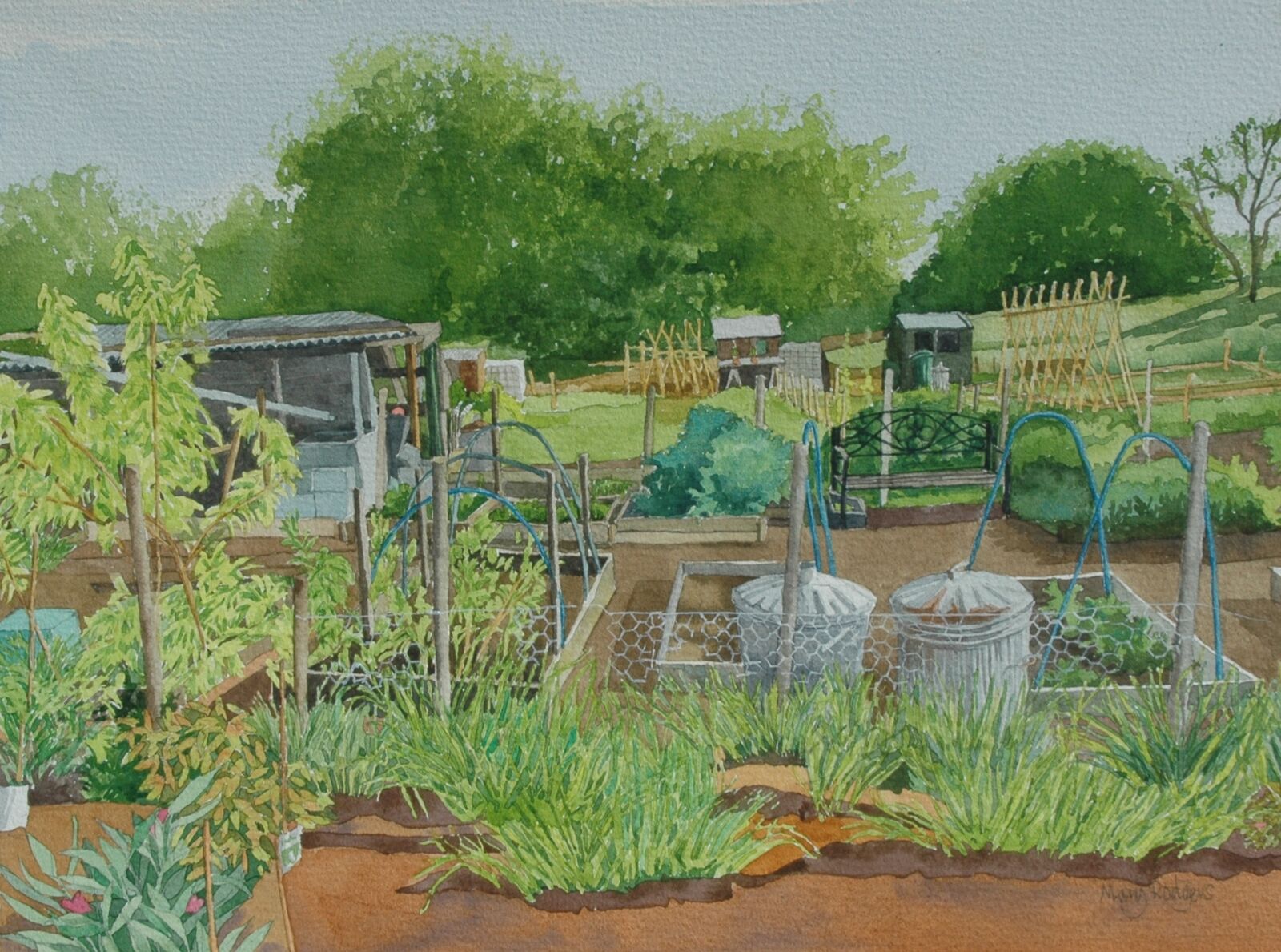 Allotments with bins
