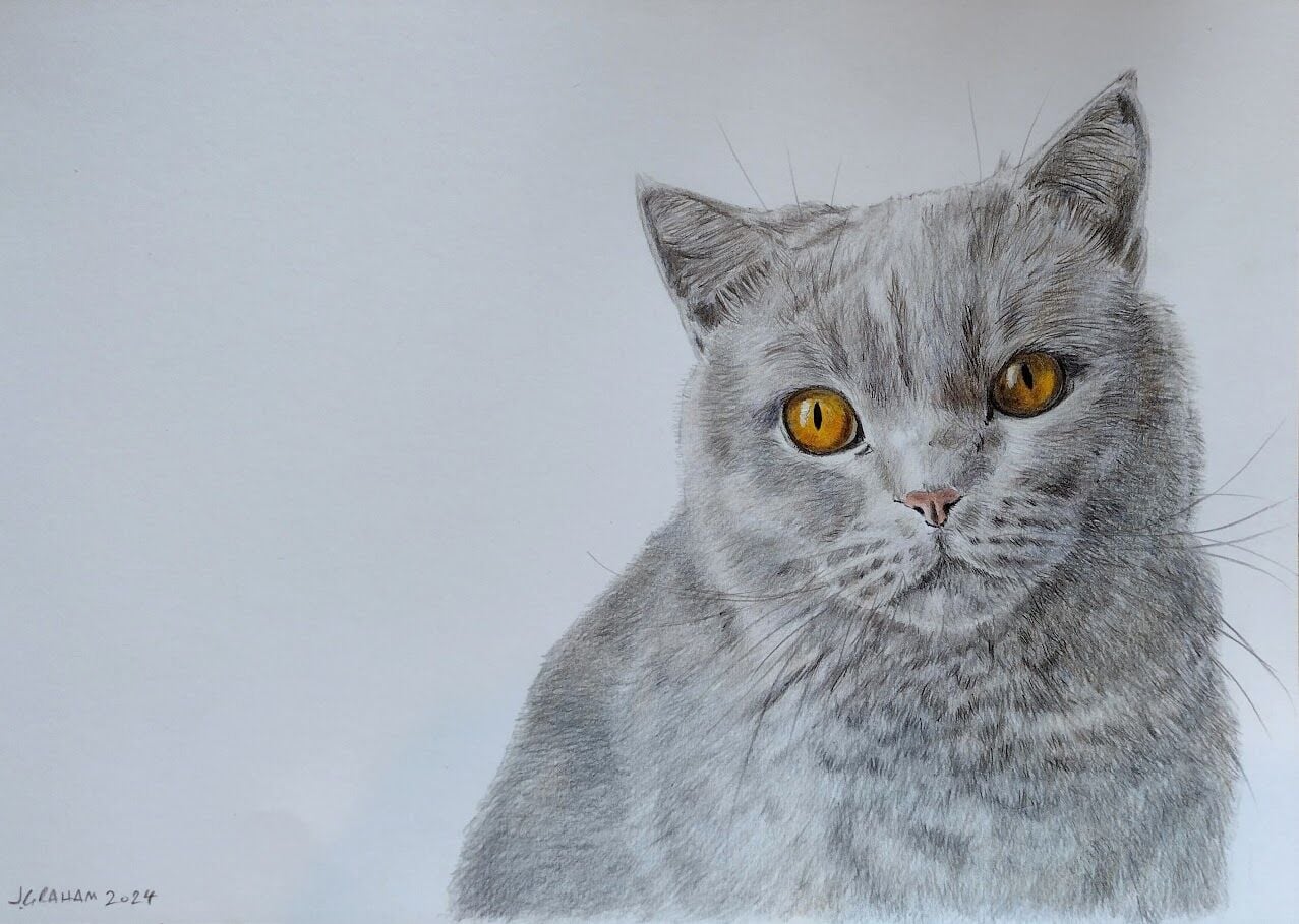 Orange eyes