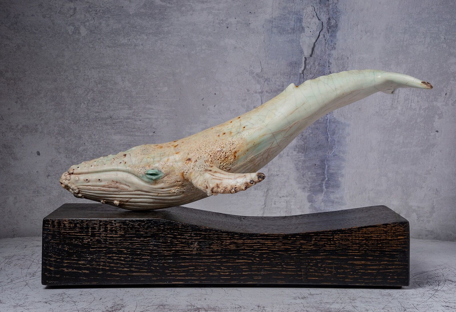 Humpback whale