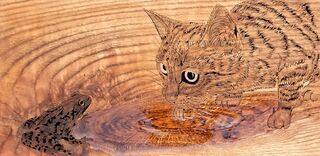Ciao - Cat &Frog