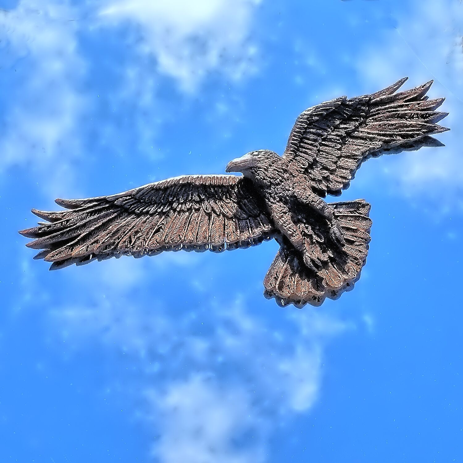 Raven