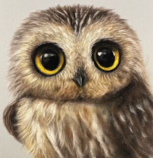 Drawing artwork by Andrea Naylor