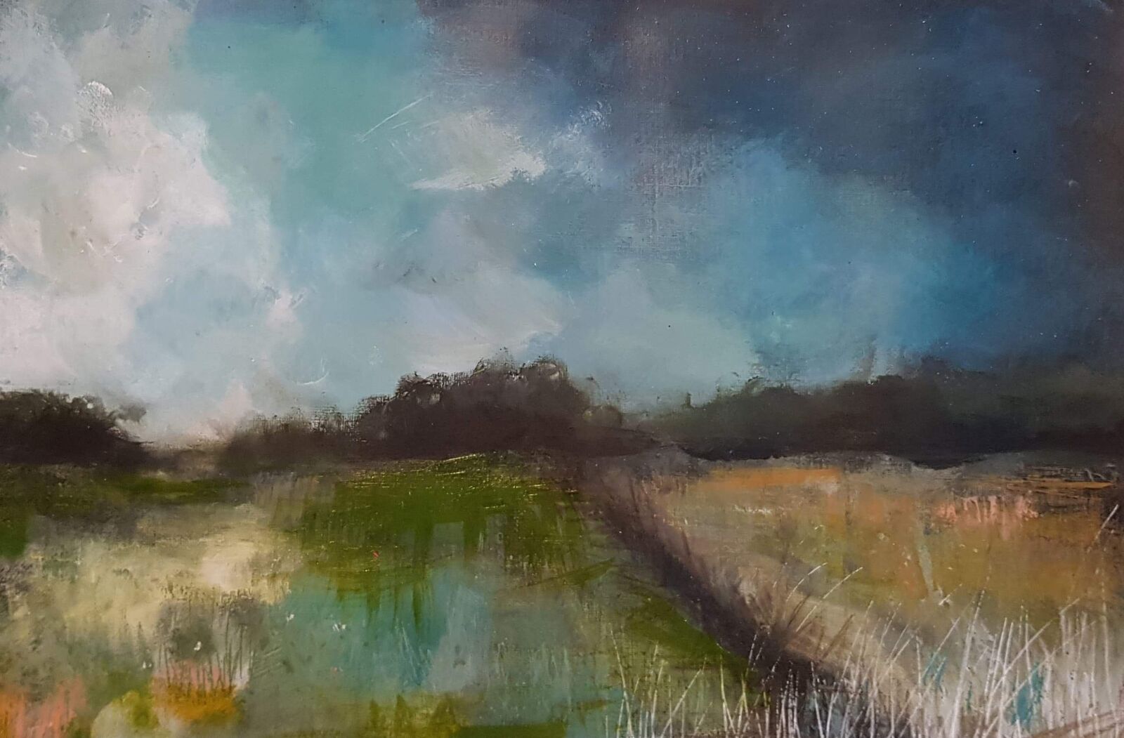 Autumn Fields II