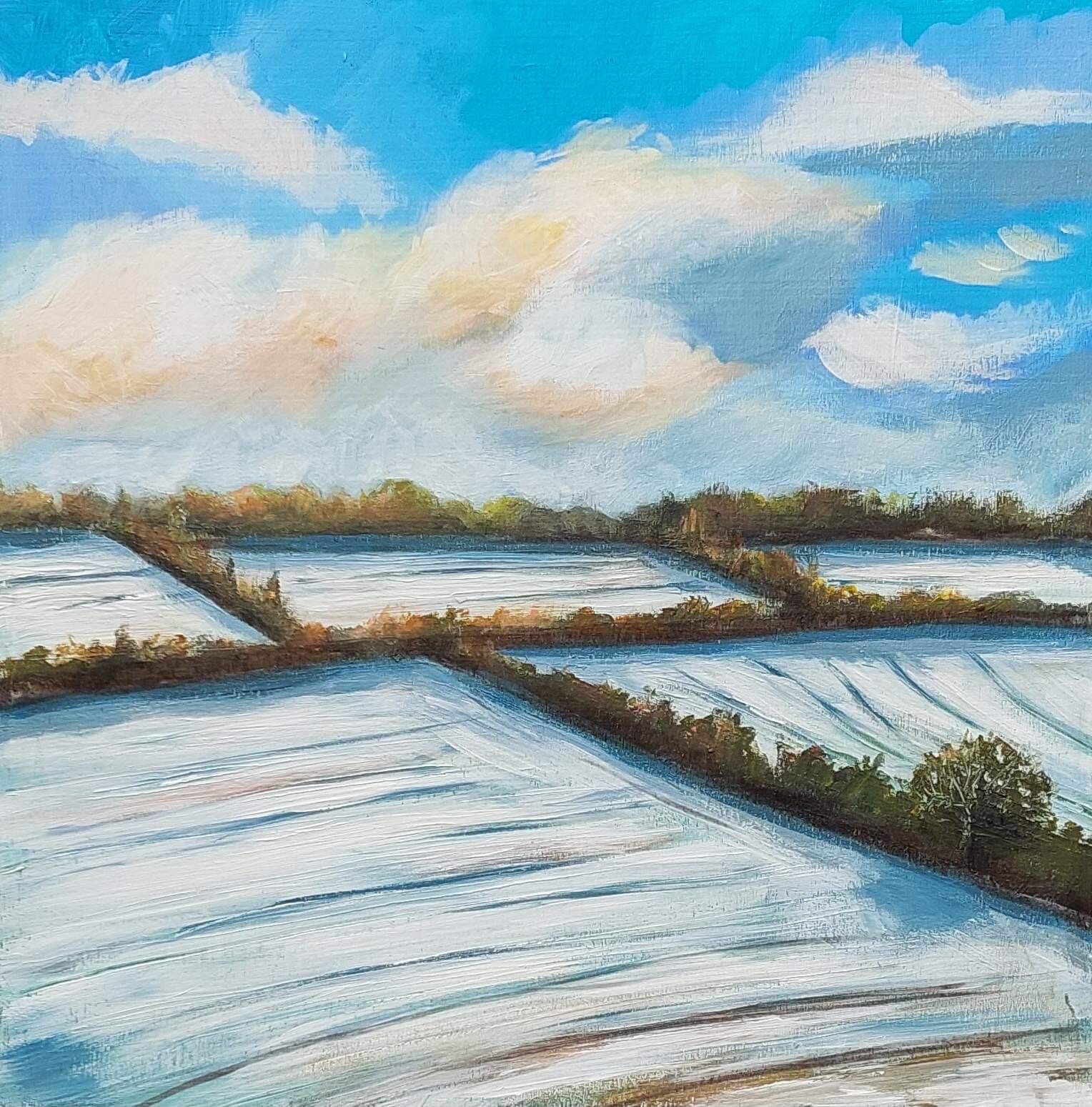 Winter Fields