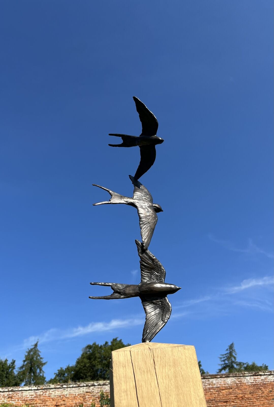 Three Swallows Flight
