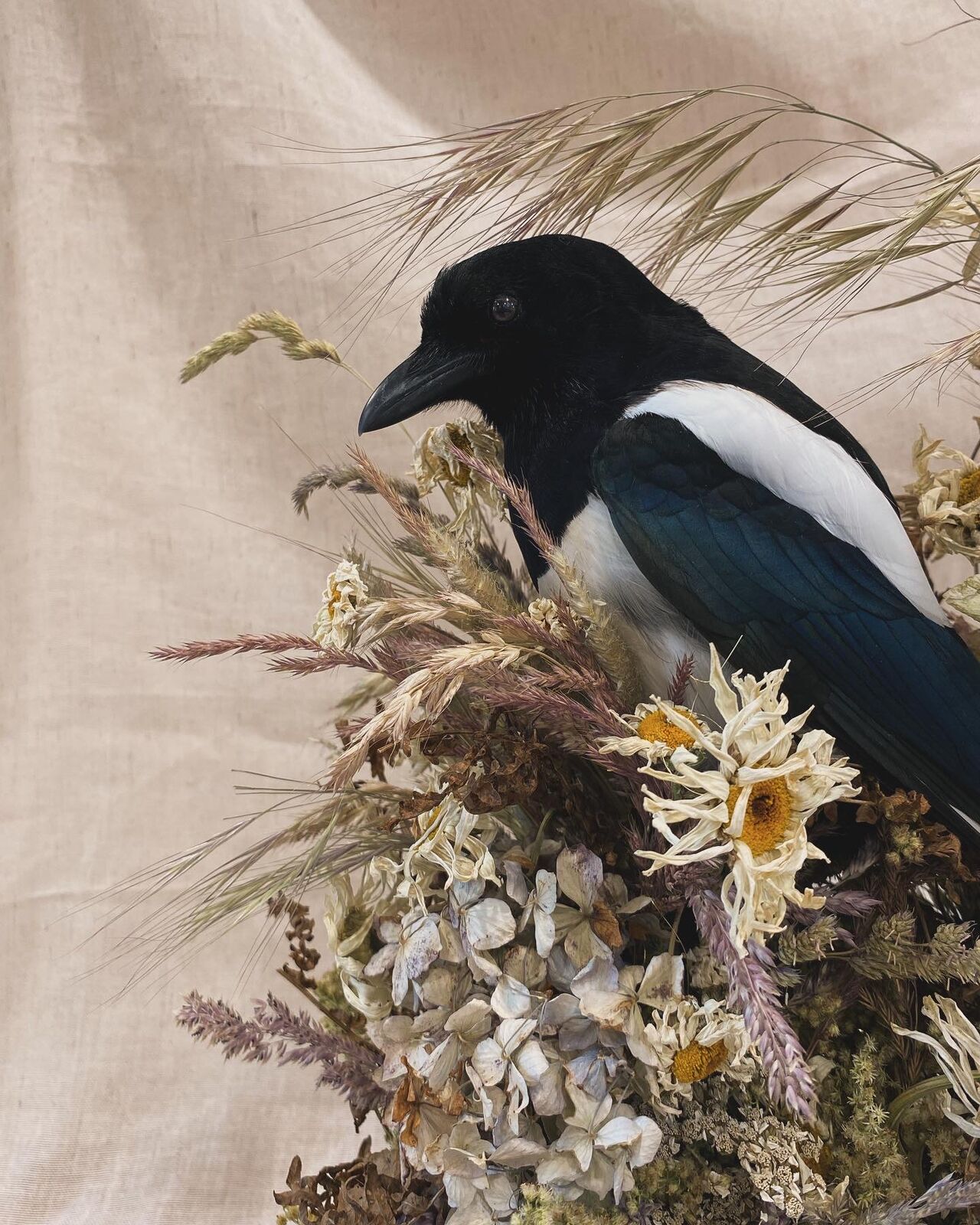 One for sorrow