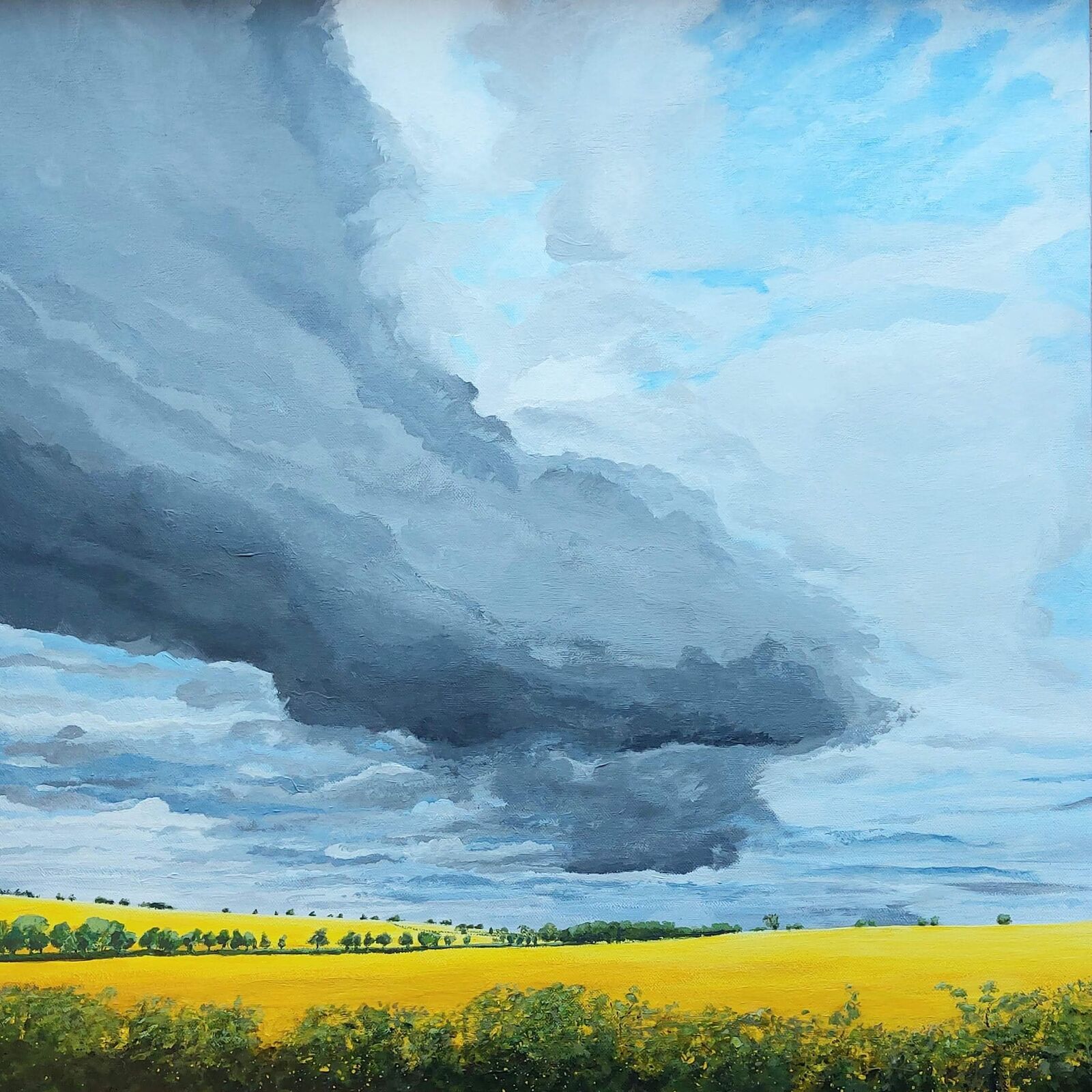 Yellow Fields, Preston Capes
