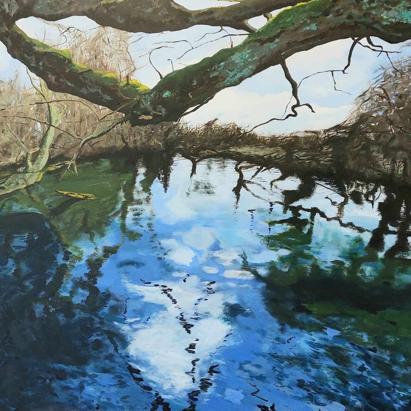 Litchborough Ponds