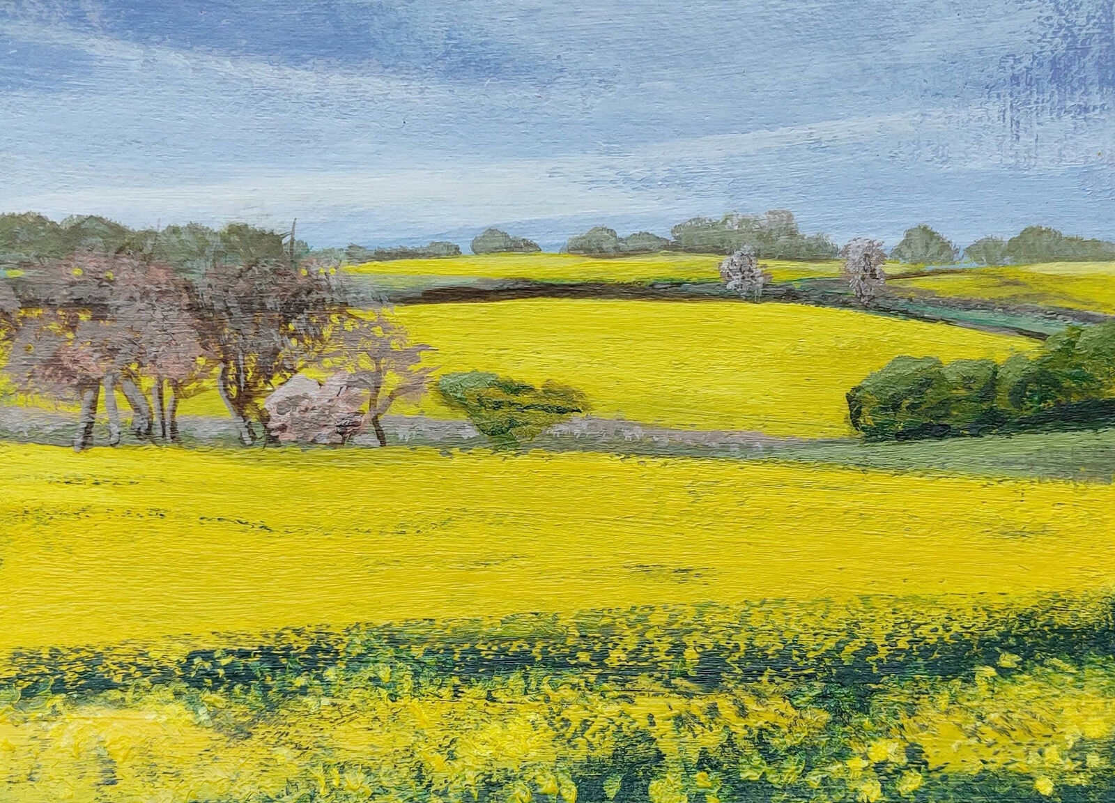 Yellow at Preston Capes