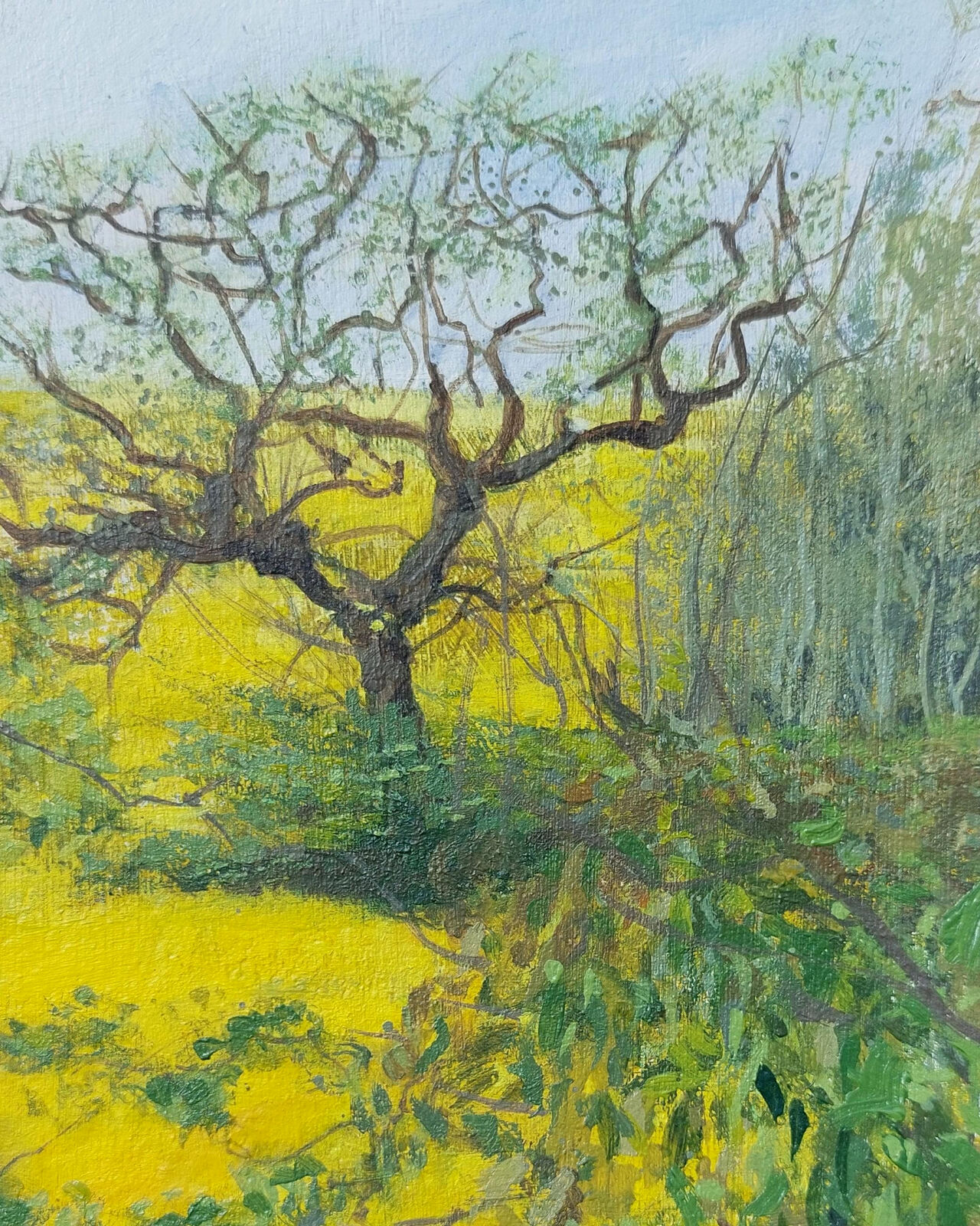 Field Margin; Little Preston