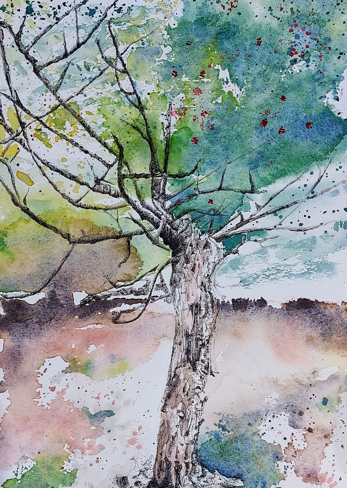 Twisted Holly Tree, Bolderwood, The New Forest.