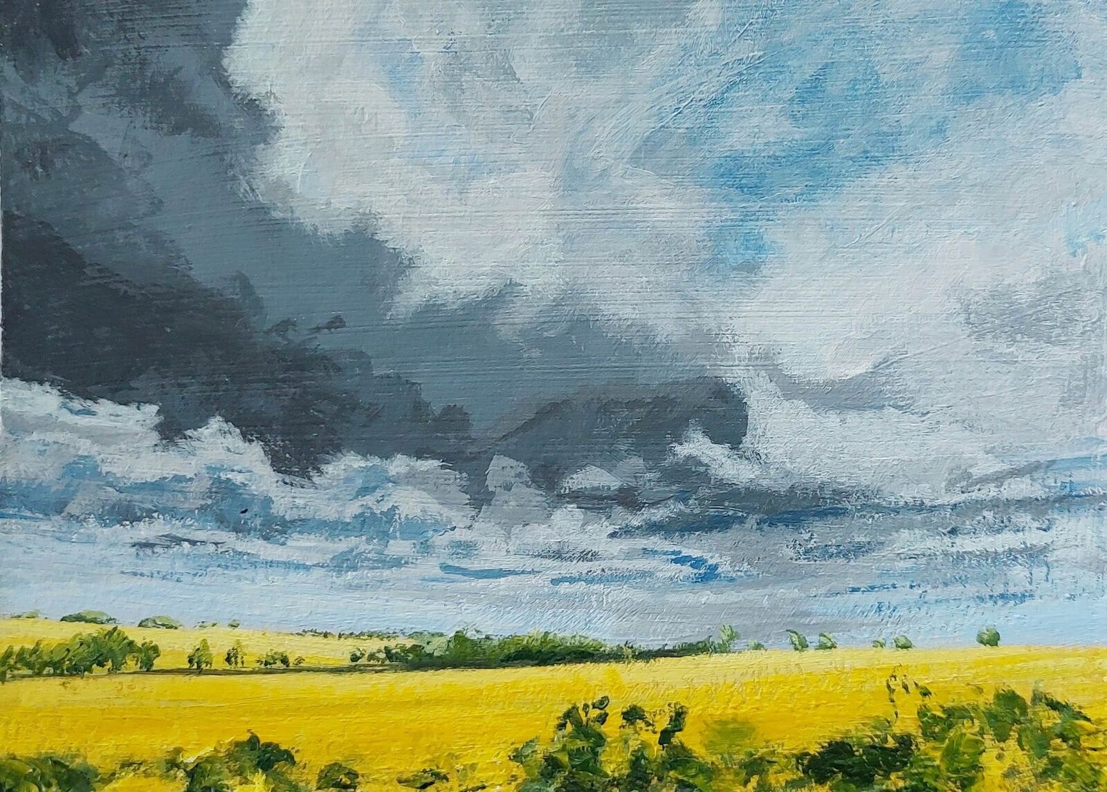 Yellow Fields; Preston Capes