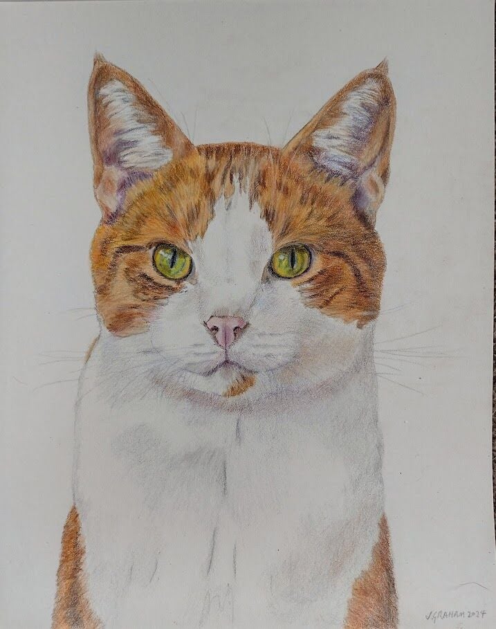Ginger and white