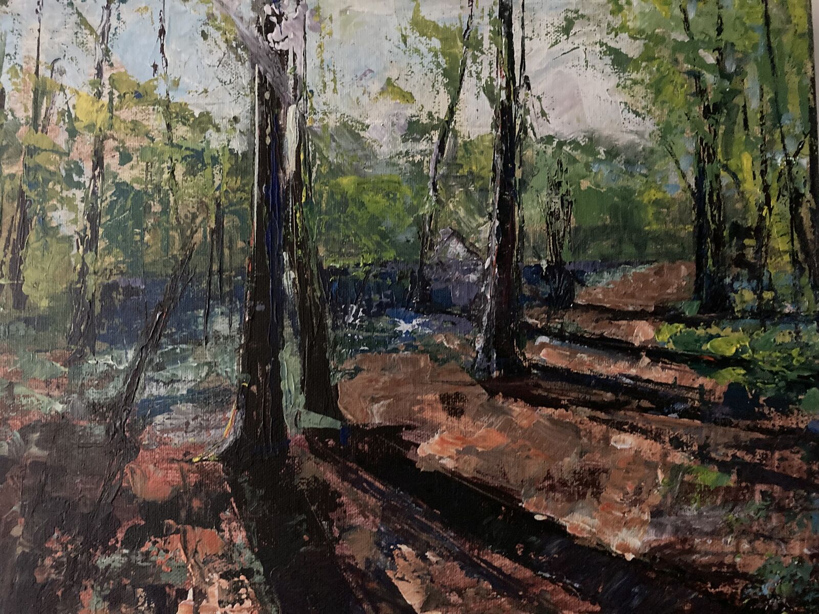 Trees, sunlight and shadows.