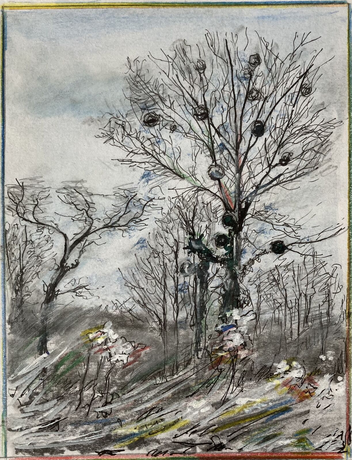 Tree with mistletoe 