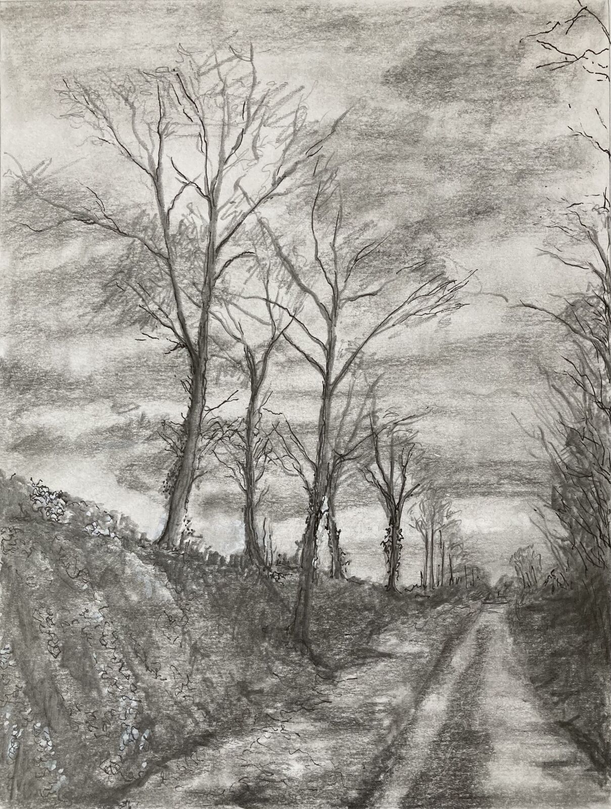 A country Lane in Normandy France. SOLD