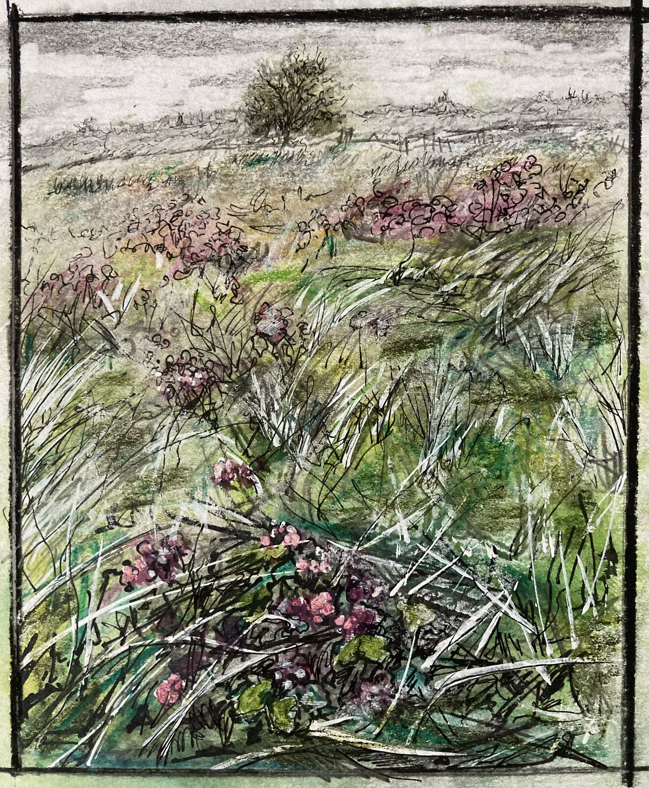 Looking to a tree from meadow flowers.