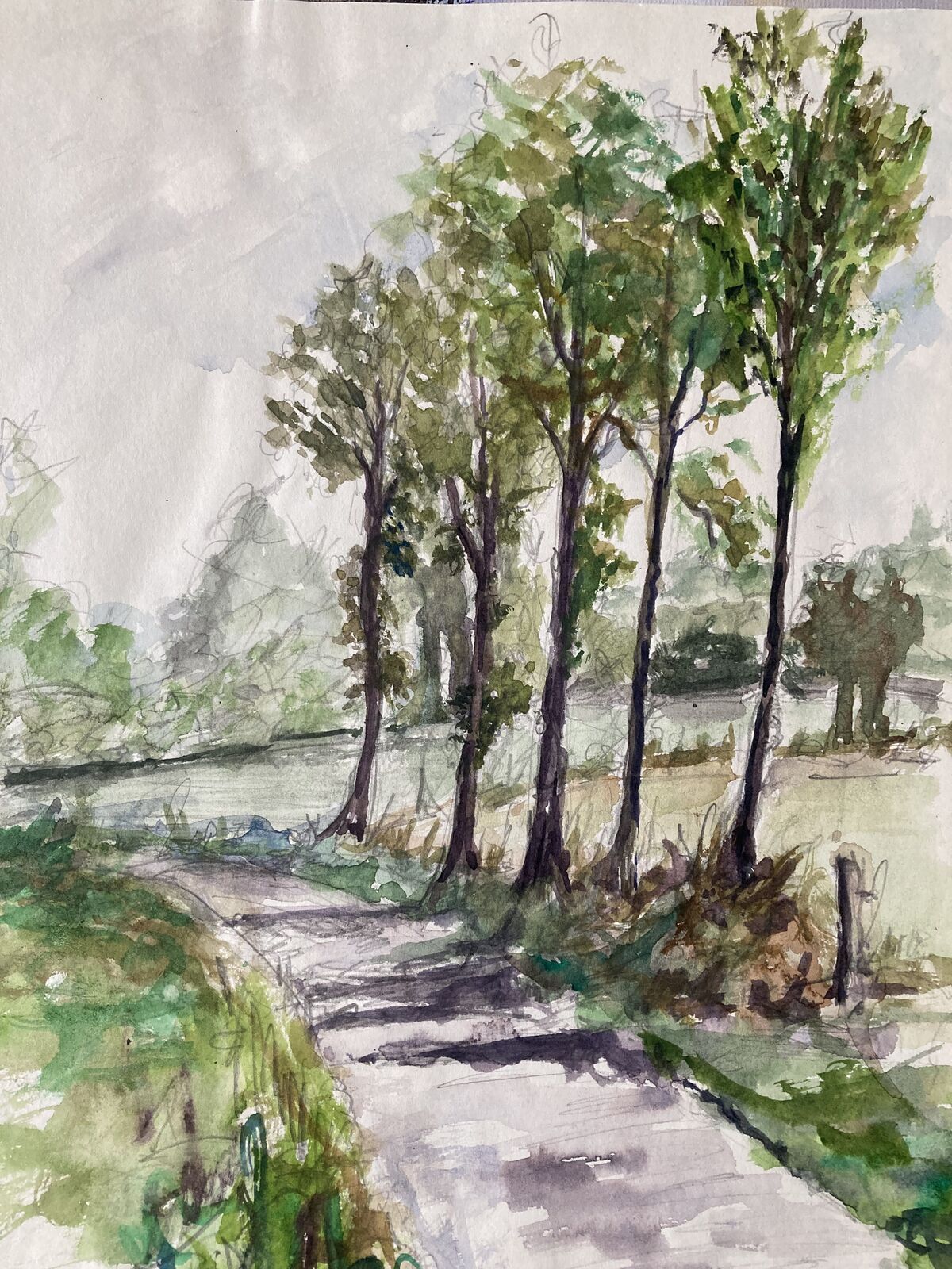 Five trees in rural France.