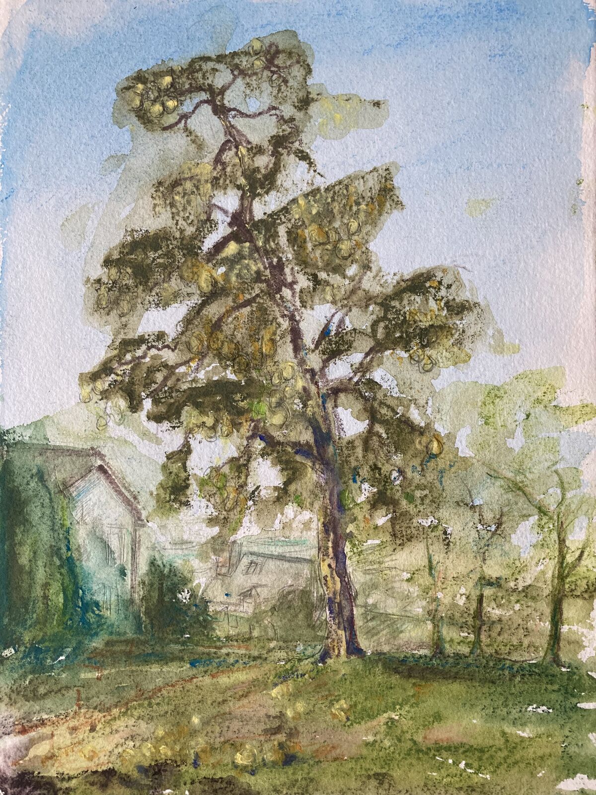 L’arbre.