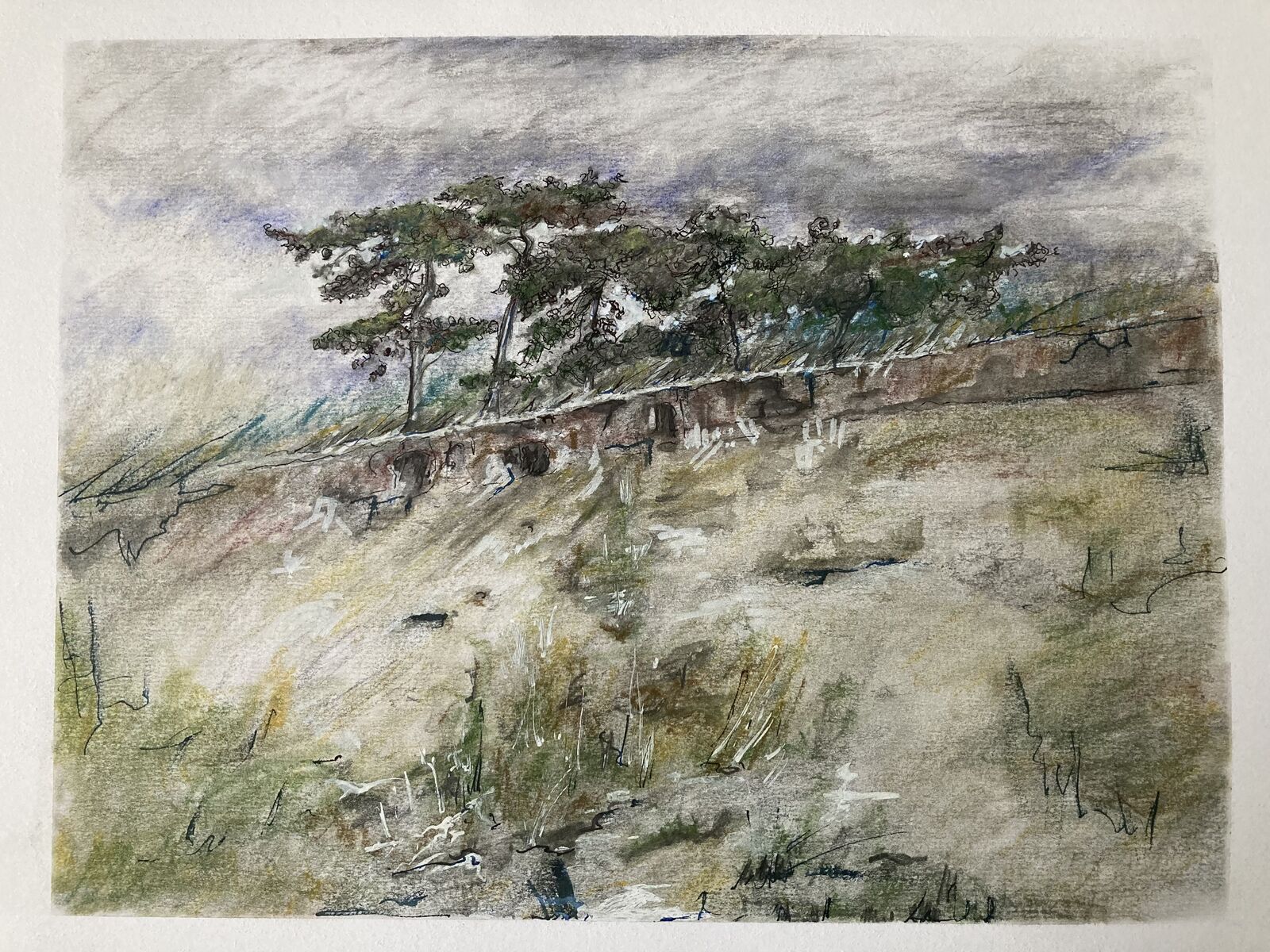Sand dune with trees.