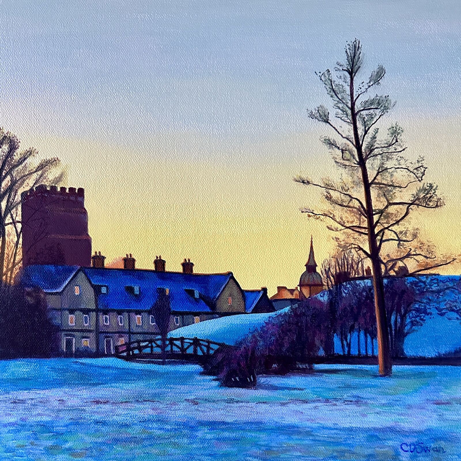 Winters Morning across Towcester Watermeadows