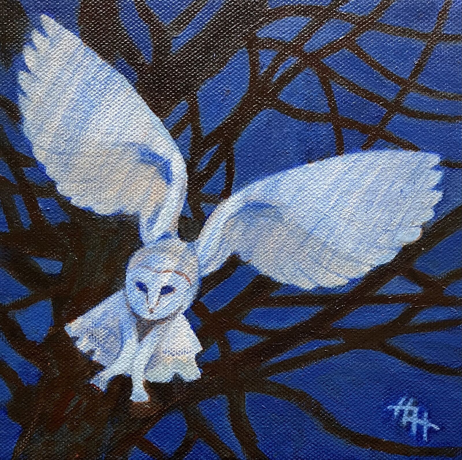 Barn Owl