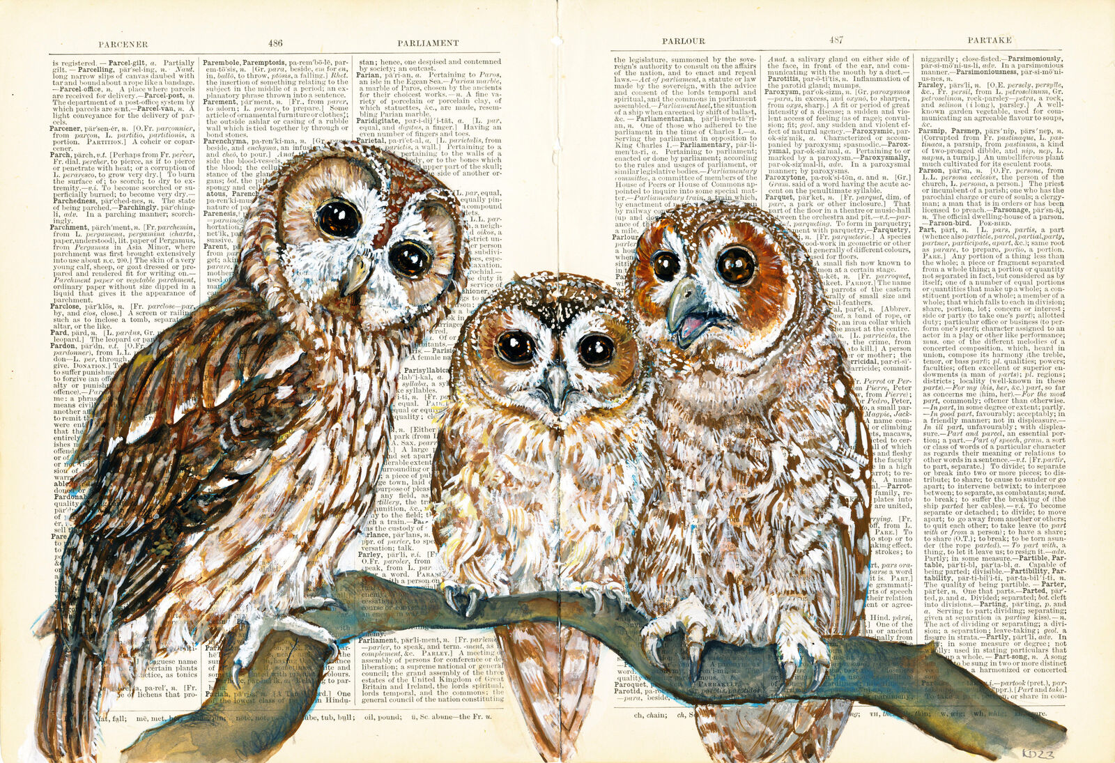 A Parliament of Owls on 1892 Dictionary Paper