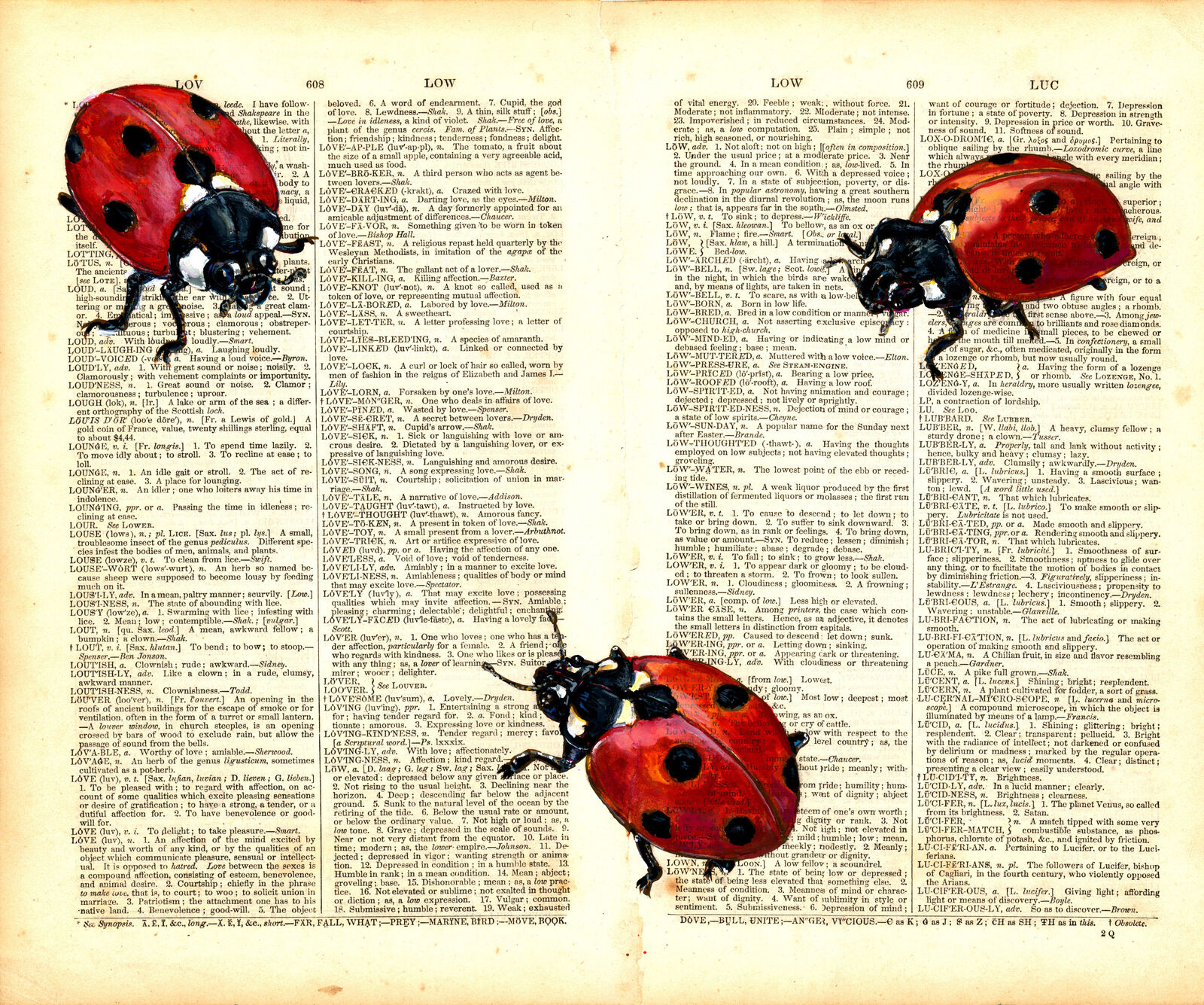 A Lovely of Ladybirds on 1892 Dictionary paper