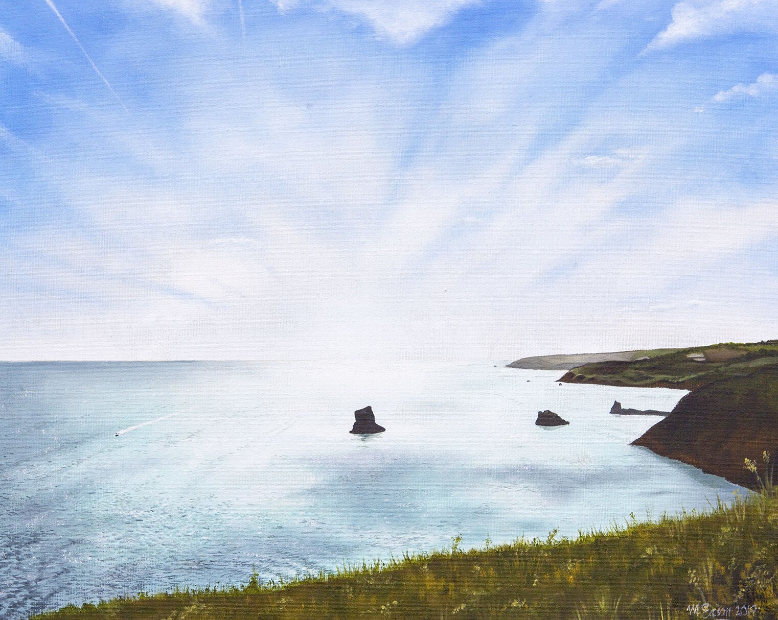 Devon Coastline at Berry Head.