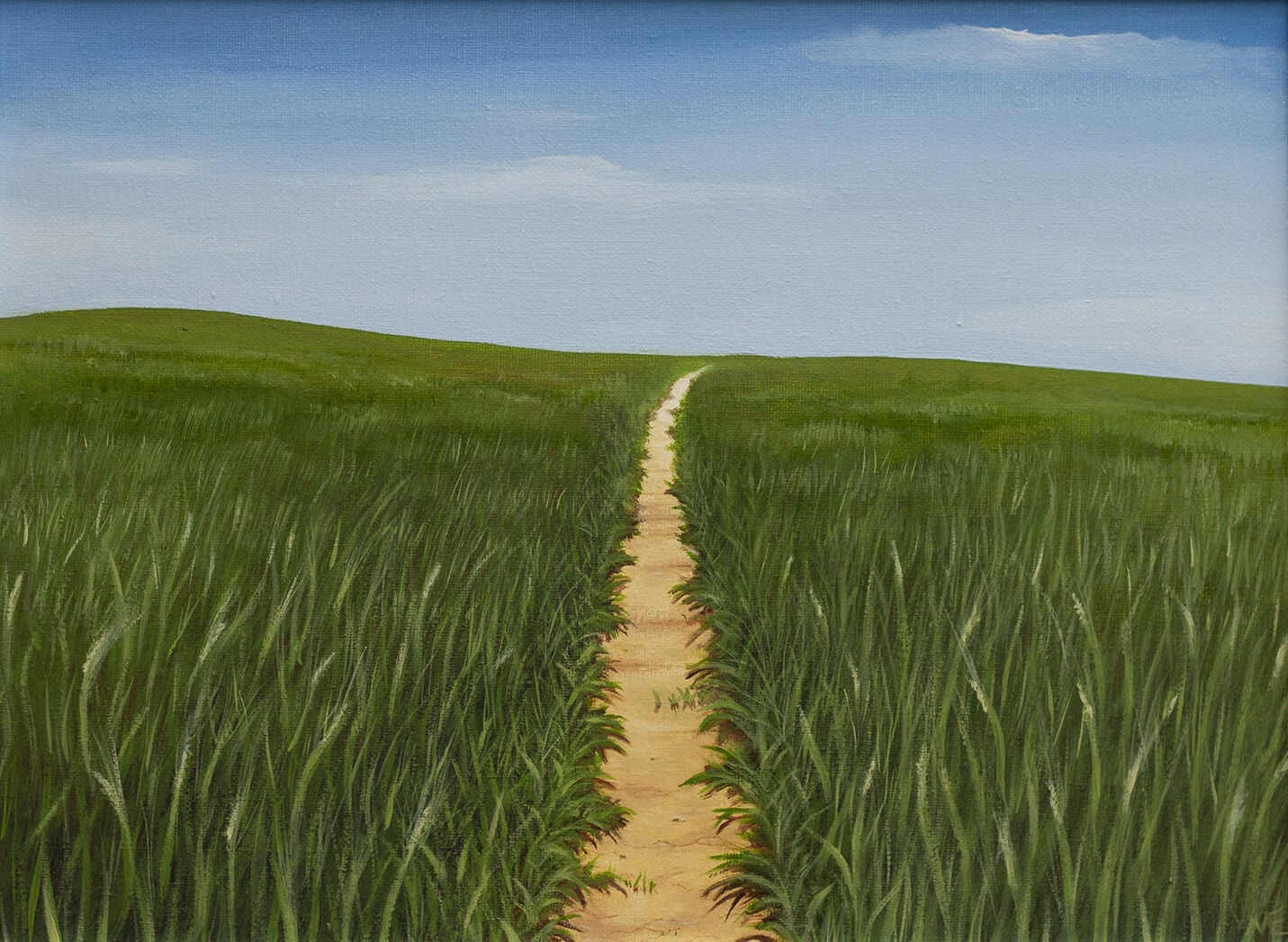 Footpath through a Summer field