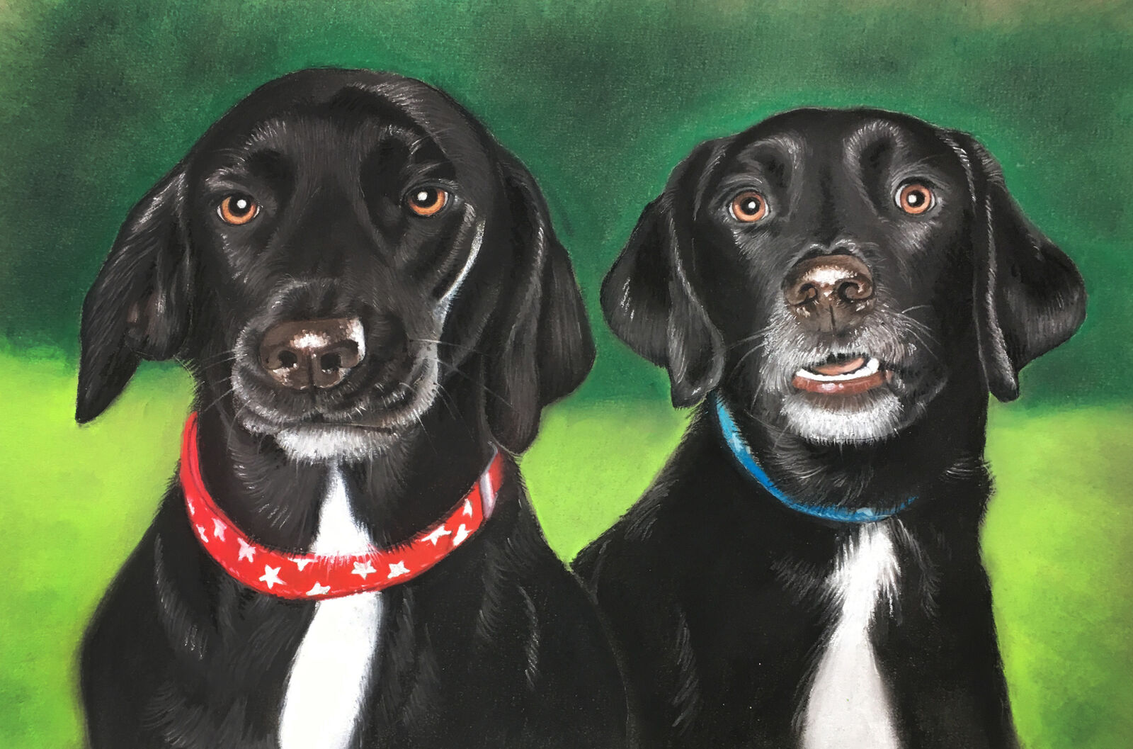 Two Black Labradors