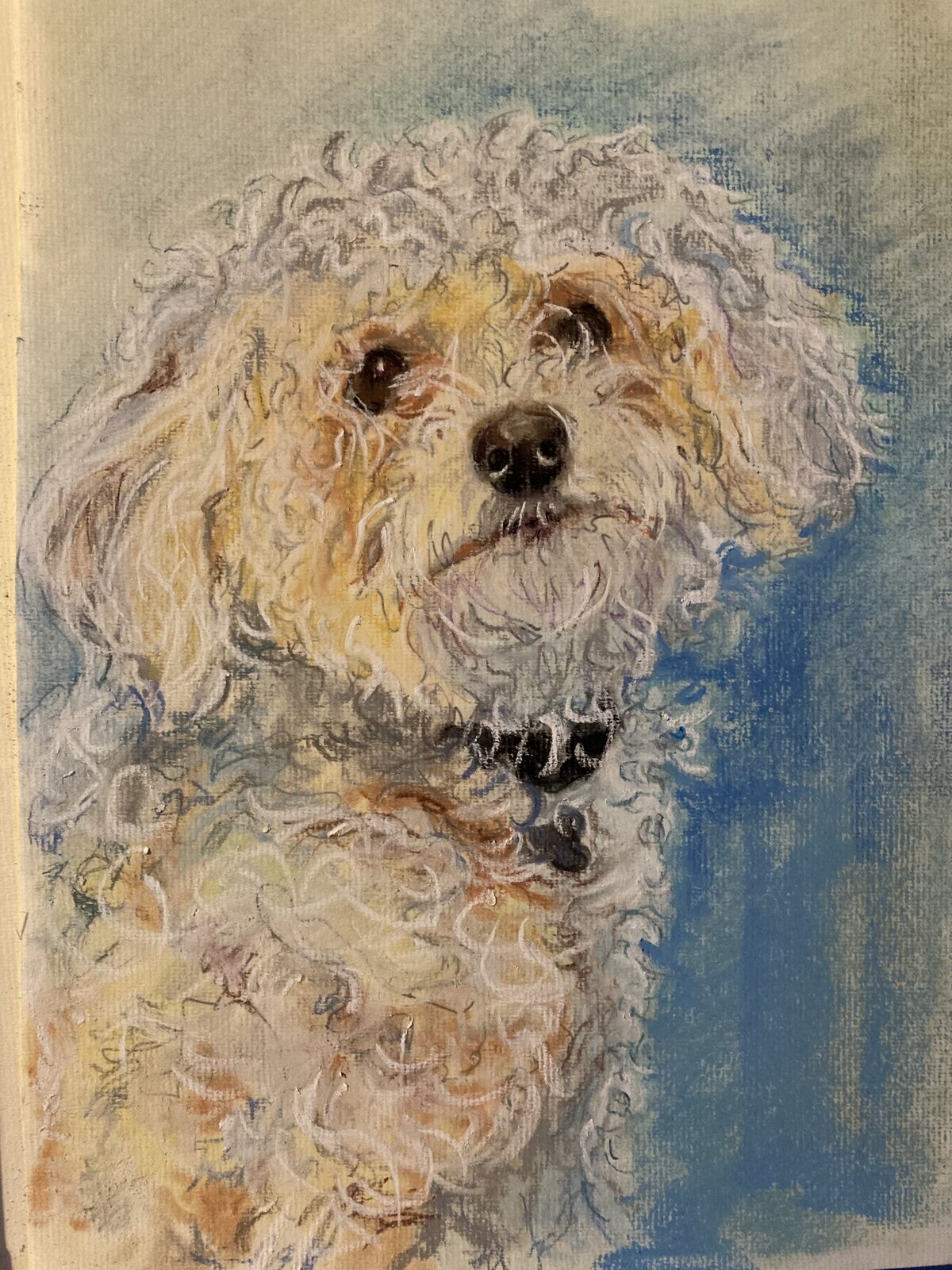 ‘Monty’ commission in pastel