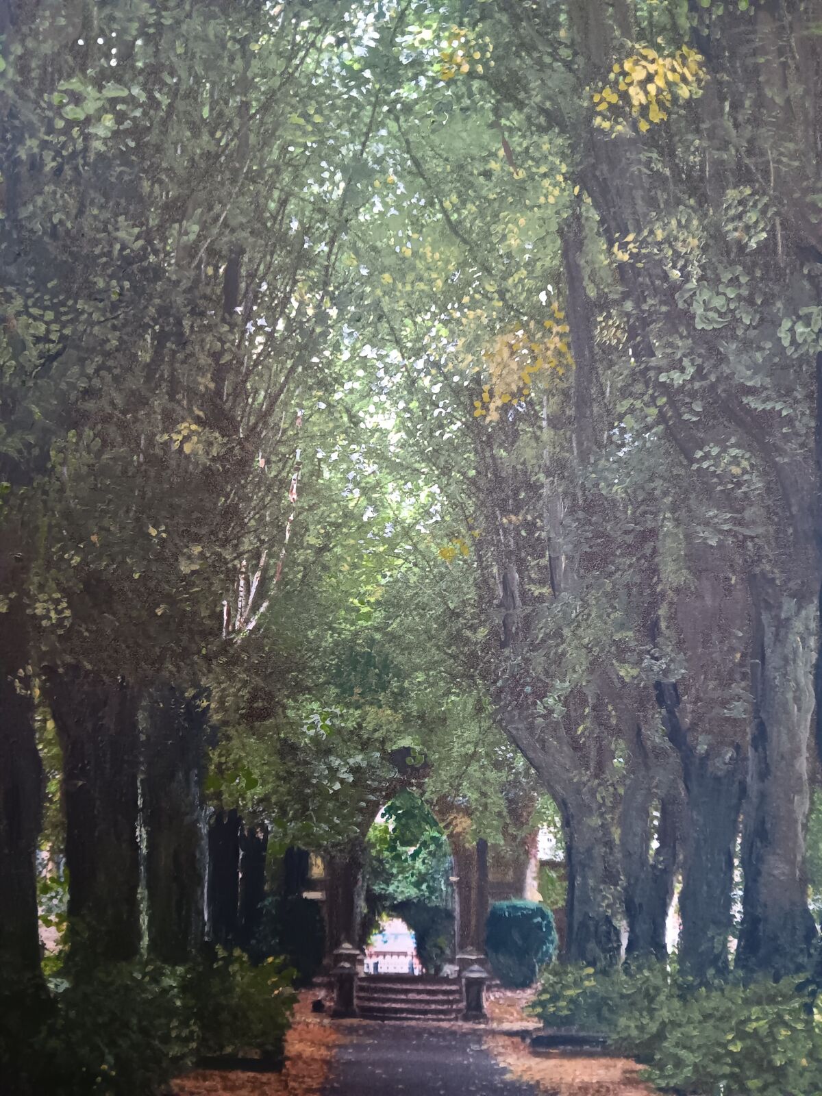 Trees in London Road Cemetery, Kettering