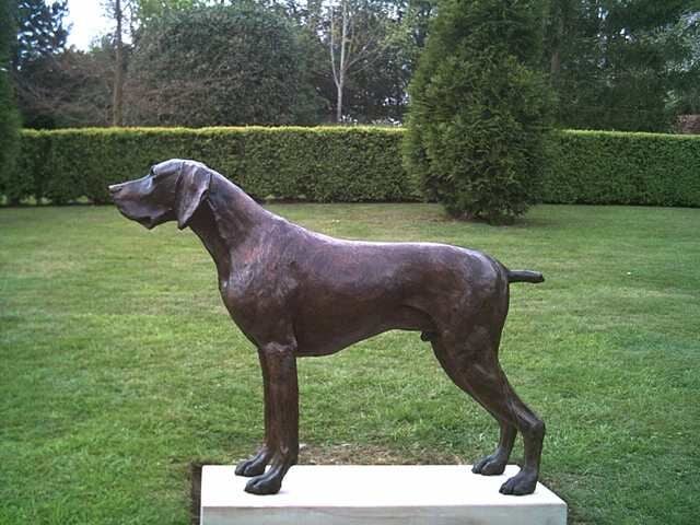 German Short haired Pointer Statue