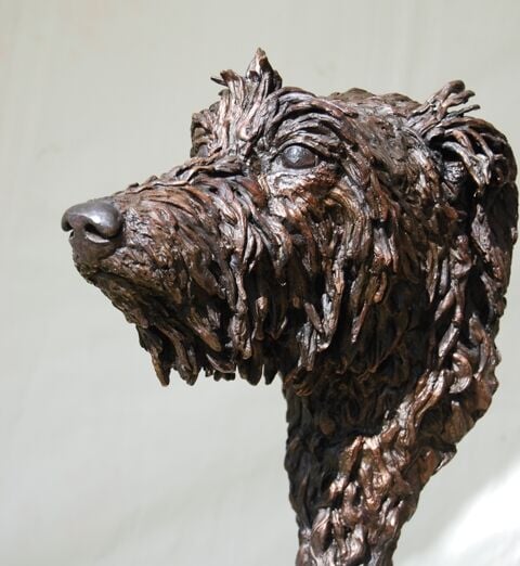 The Deerhound
