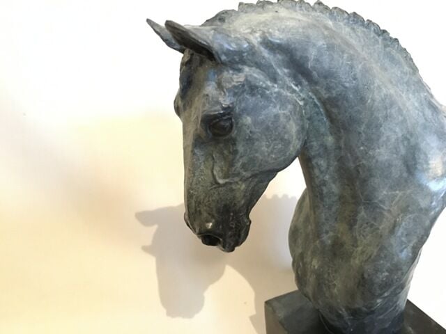 Dressage Horse Virtu