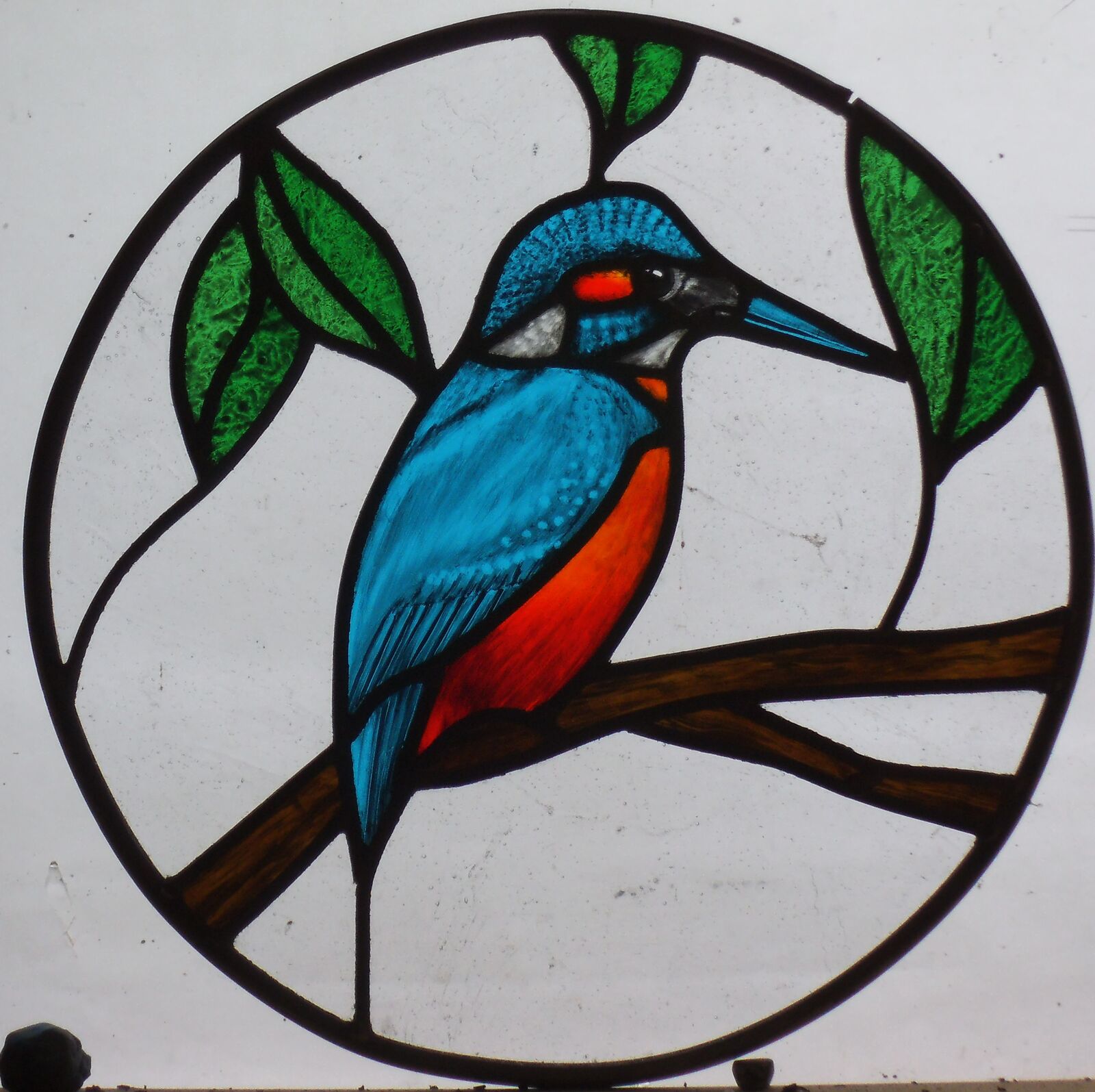 Kingfisher