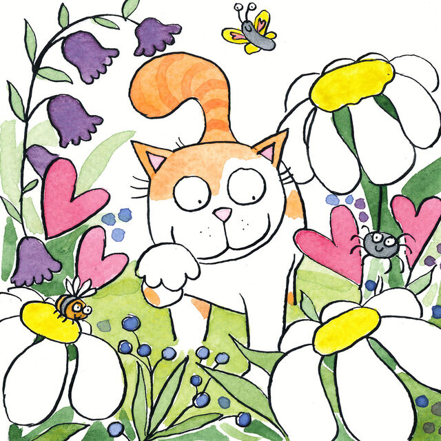 B is for Beans- by Katy Dynes